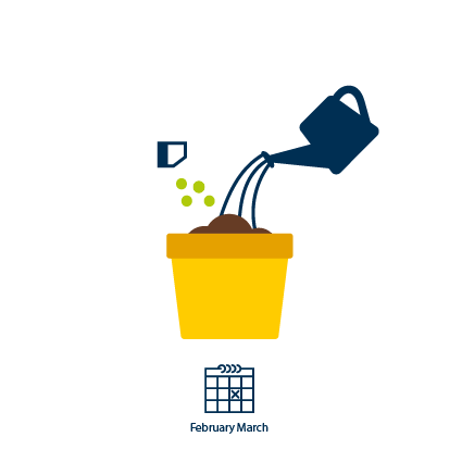 1 February-March: seeding begins. 
 